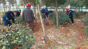 ֲ�������� ���Ȼ���������ɽ���˻���Դֲ����ֲ�����ʵ